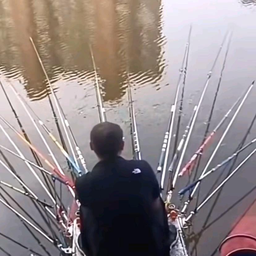 国家一级喂鱼大师