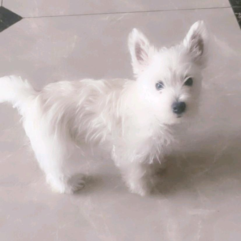 “白一天”ta姐