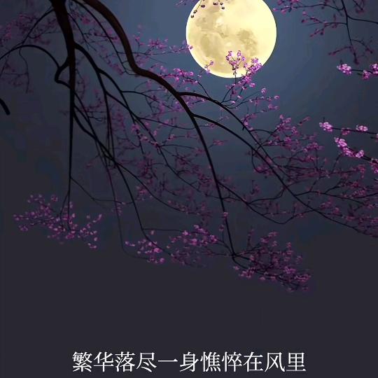 时间无语