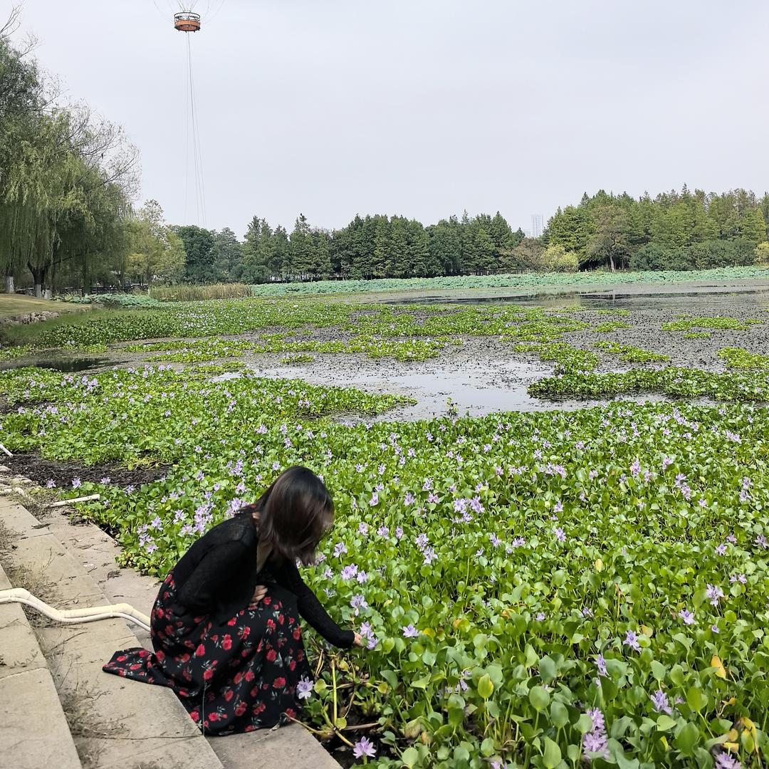 心如止水