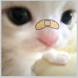 Nuyoah.