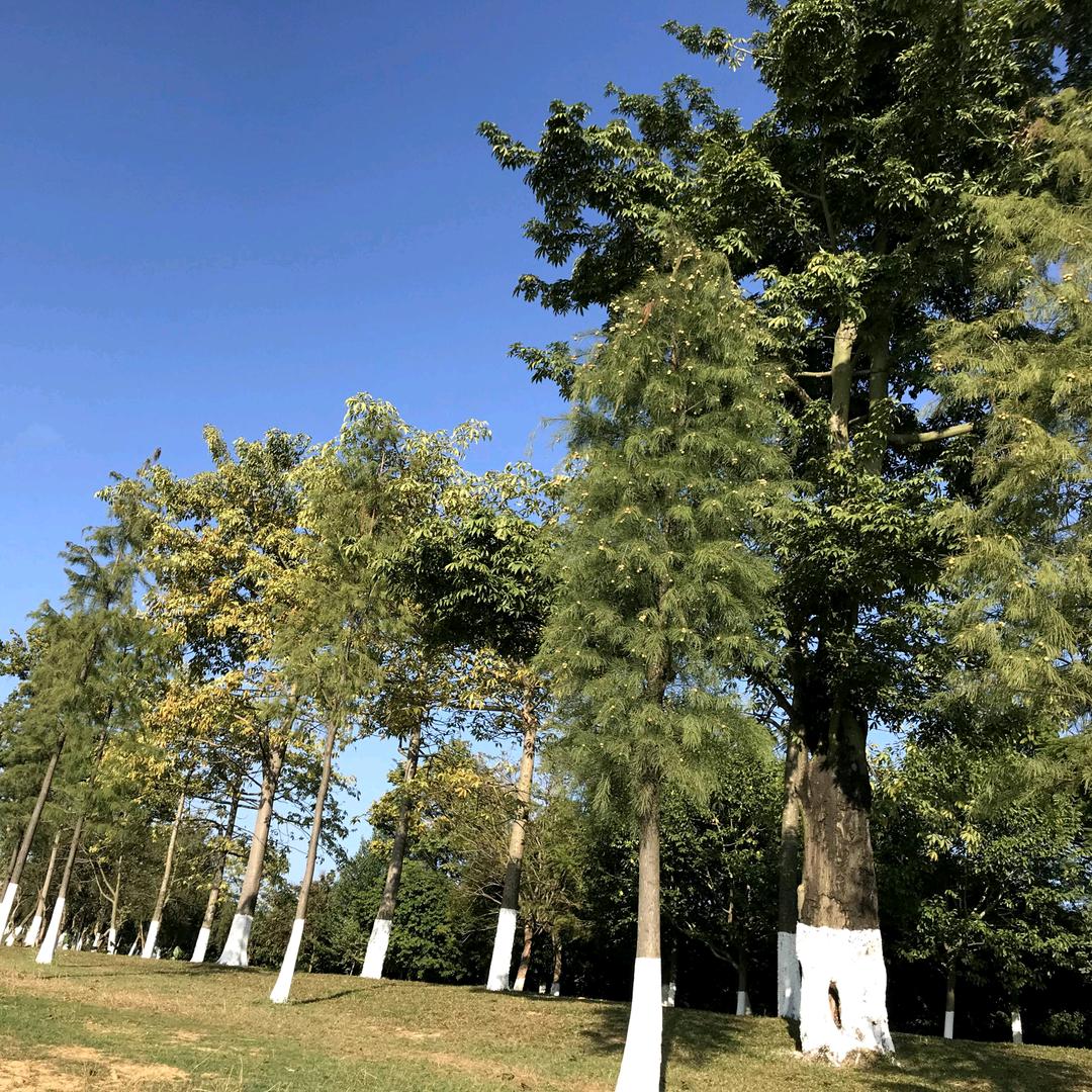 骑着蜗牛去旅行