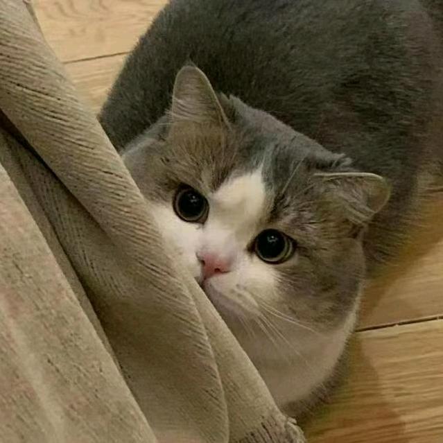 坏睡眠