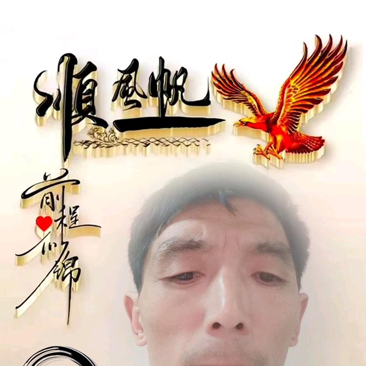戴卫震