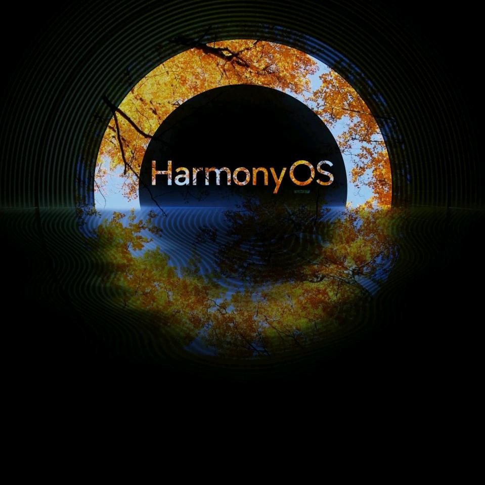 凤凰荟天命打工人