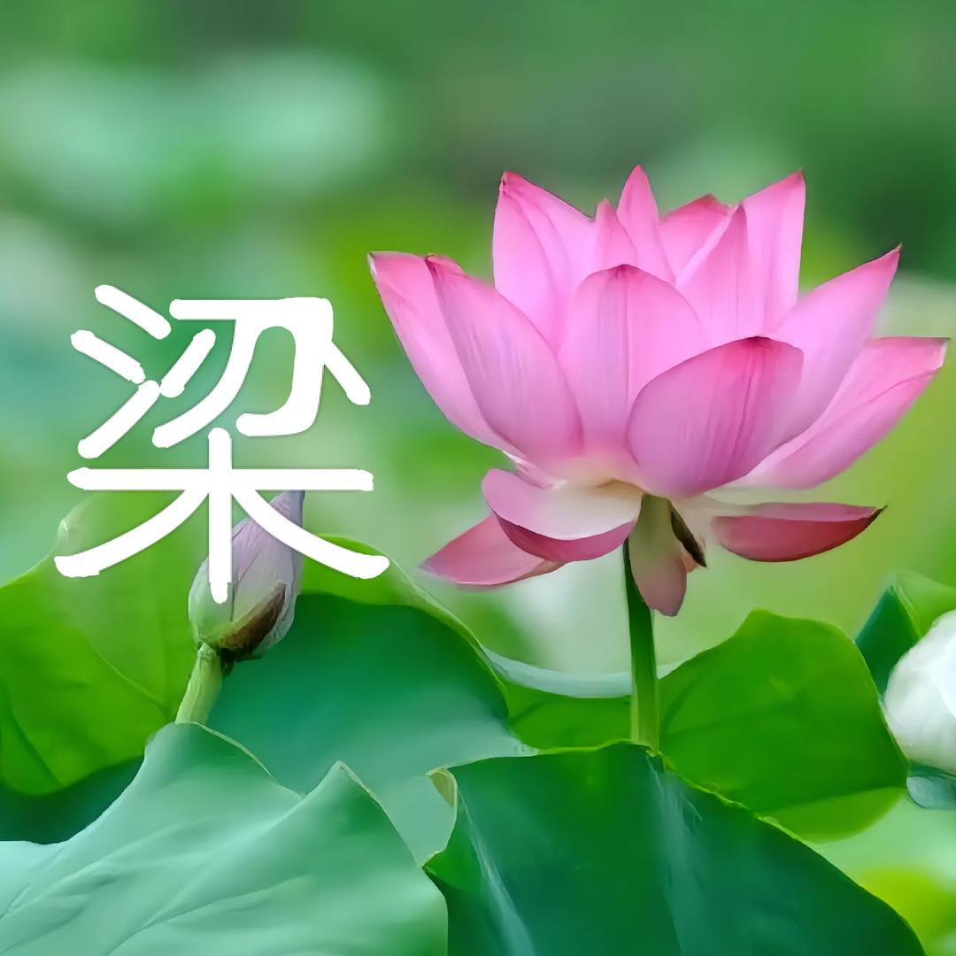白水人