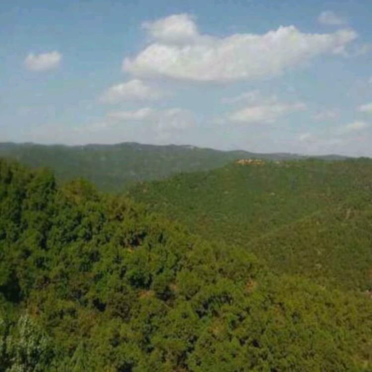 一望无际的田野