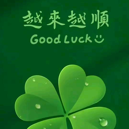 一网情深