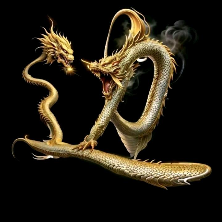 文起风华