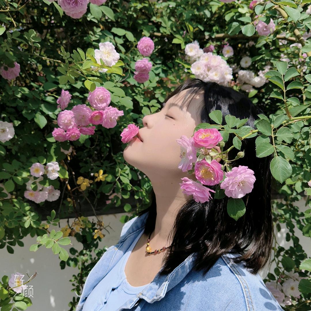小菜爱玩