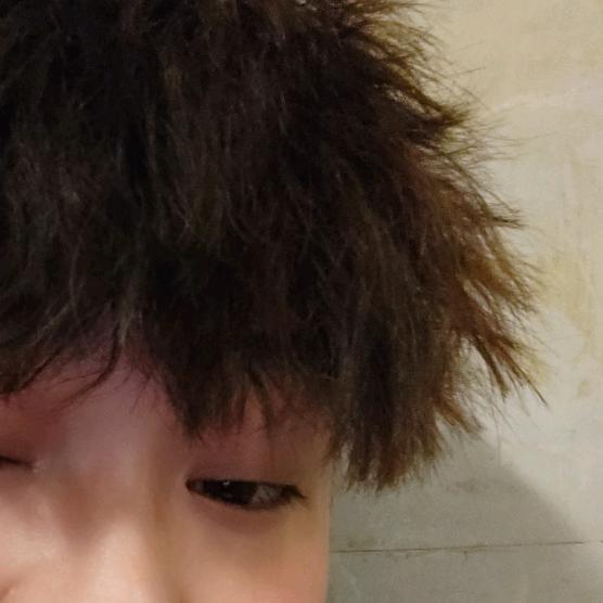 🐢陪伴是最深情的告白🐢