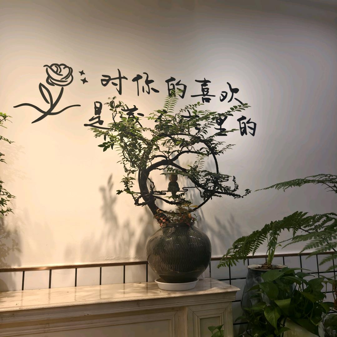 ঞ᭄招财又进宝໊ꦿഒᩚ࿐