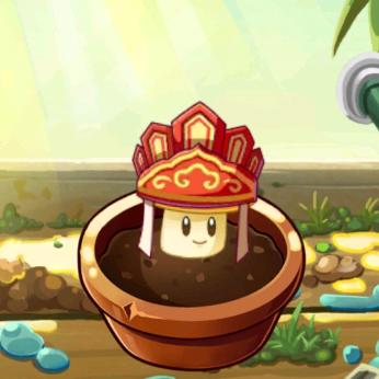 樱花树下打植二