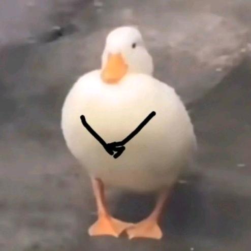 哈哈哈哈！