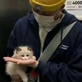 小小单车