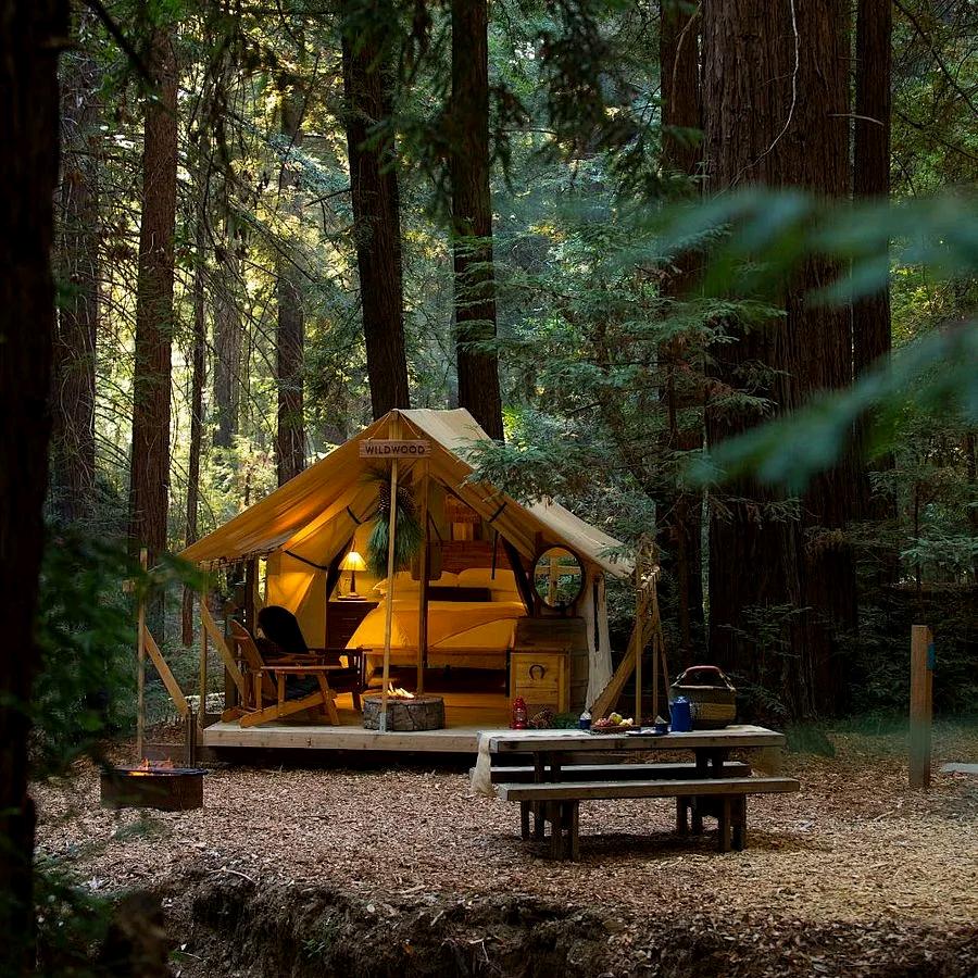 来阳山一起改造四合院看云海泡温泉吧