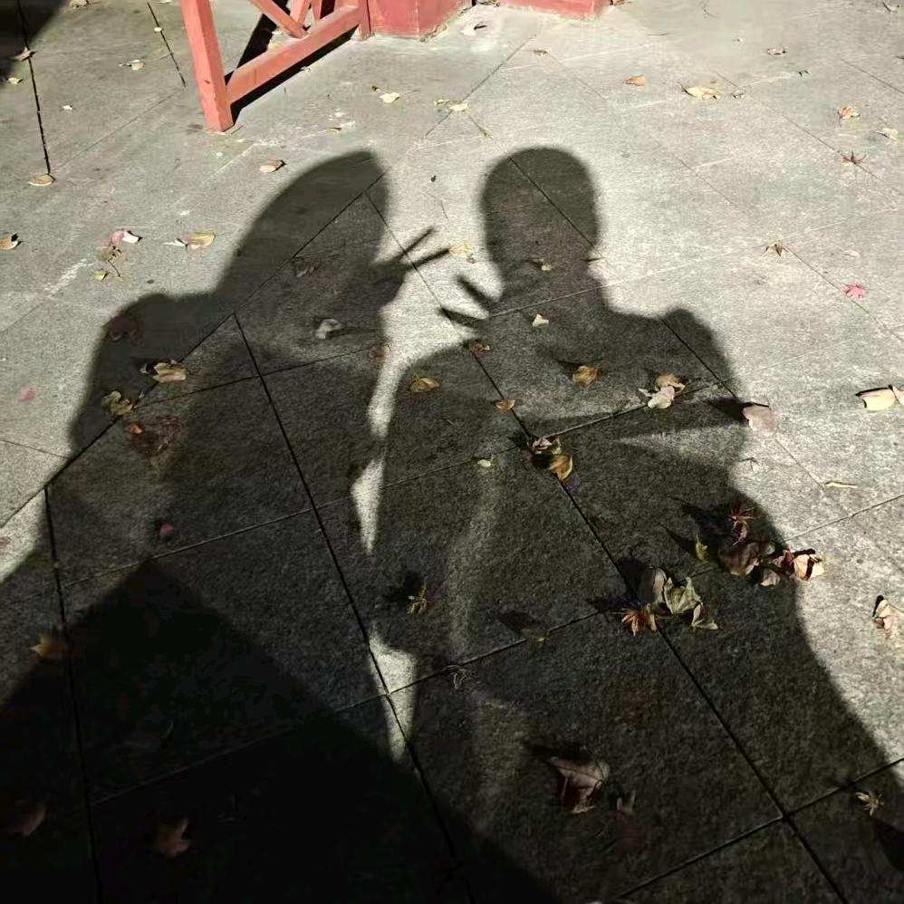 阁下何不乘风起👿