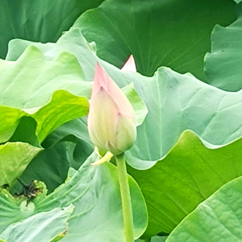 健康是福