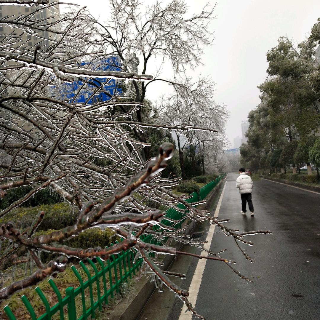 柔晴钊