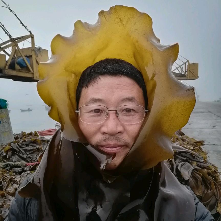 荣成海带赵哥