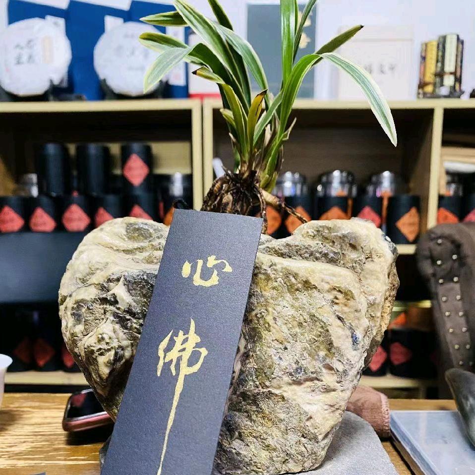 城市经理人学习中心