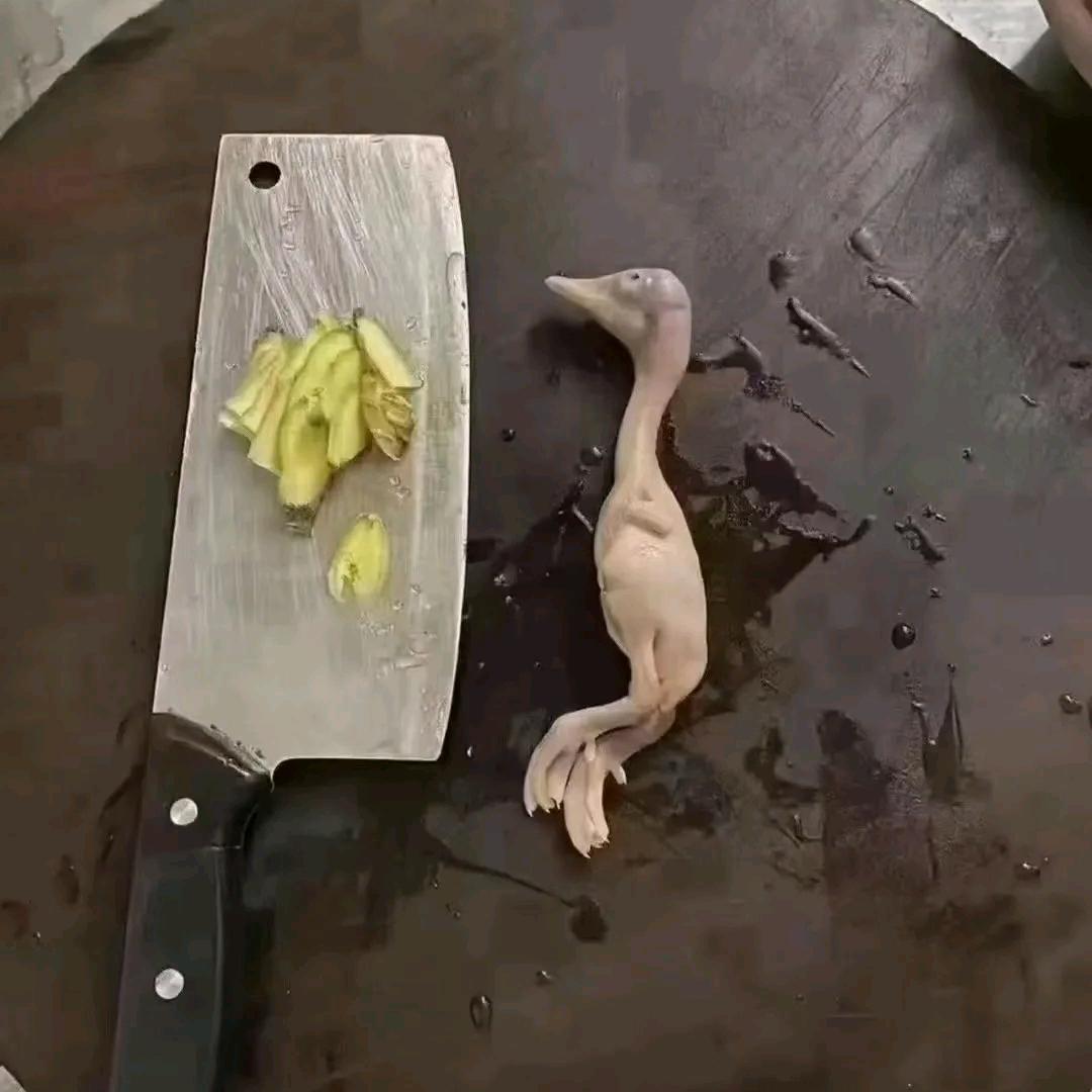 生活的无奈