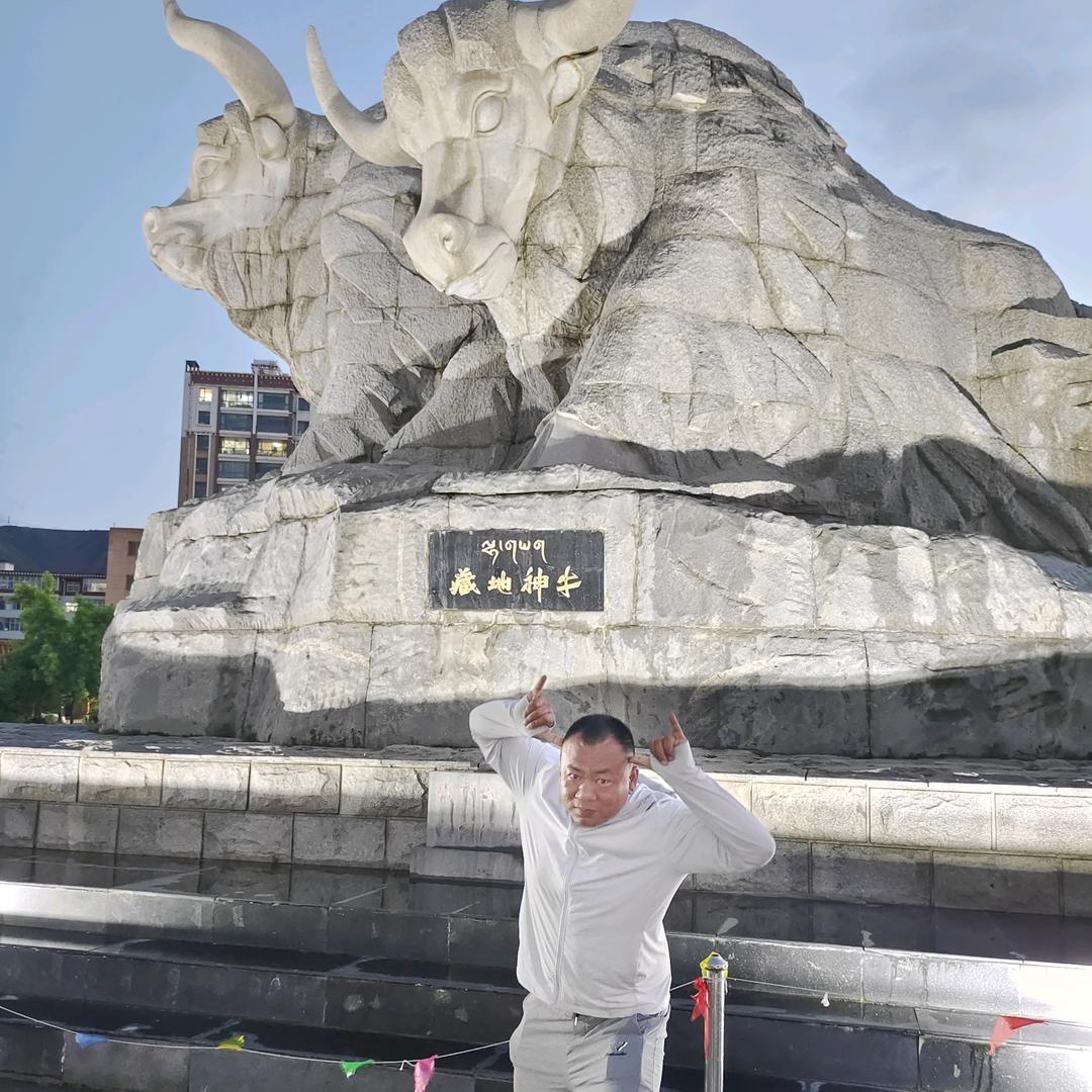 新区豪🐴考场 蒋司令—手动挡 自动挡