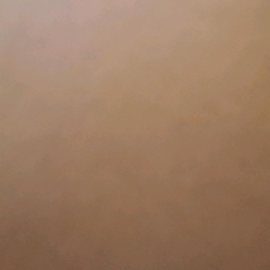 小李