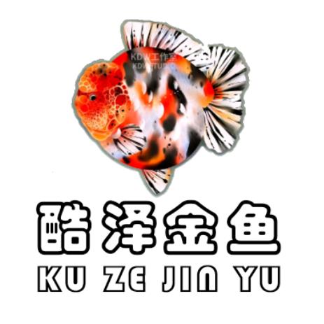 酷泽金鱼