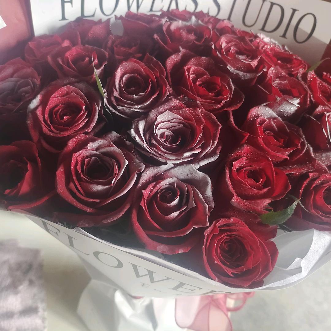 @芳(拒私聊)