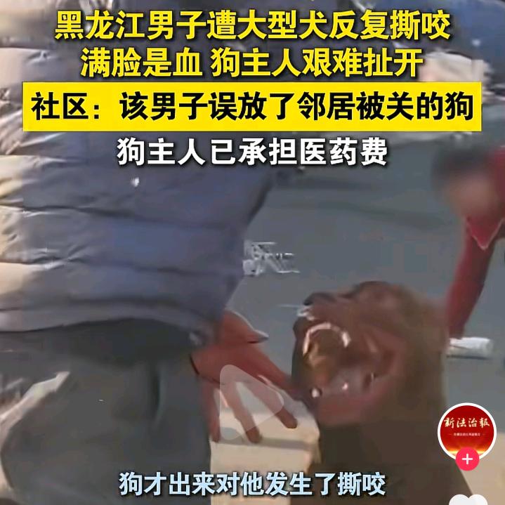 爱鱼人士