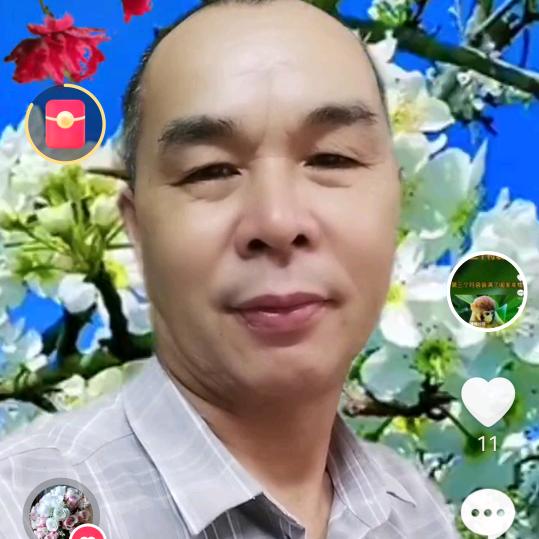 谢芬