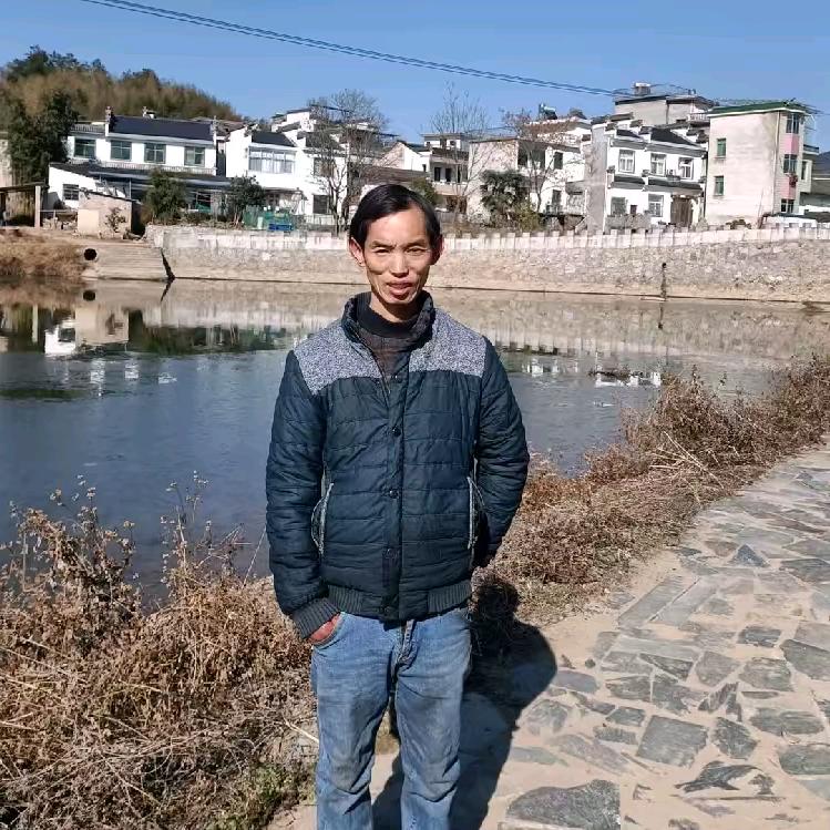 励志小马