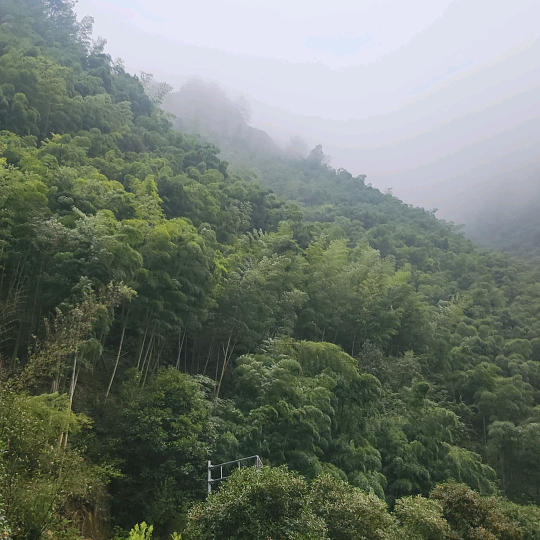 思维导图
