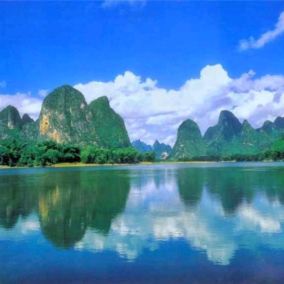 程晓淼