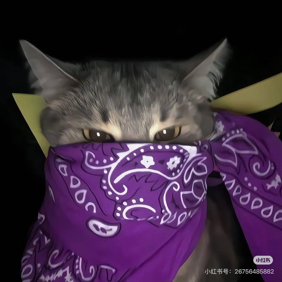 不吃黑椒🌶（骗人版）