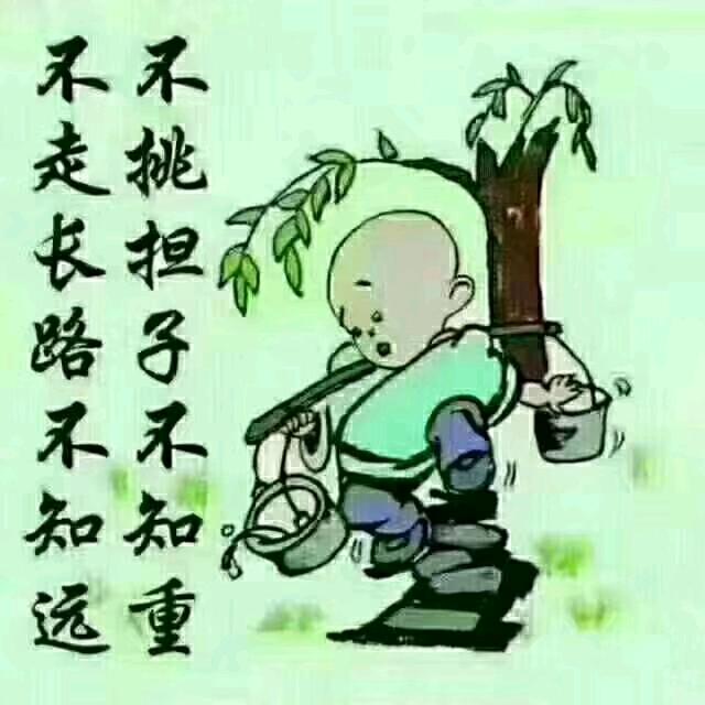 精品二手车陈