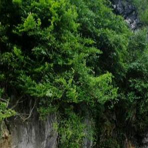 好想认识你