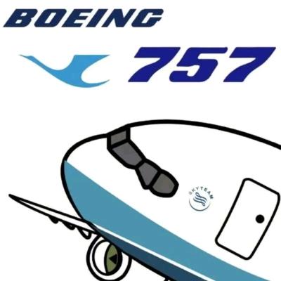 鹭岛厦航B757