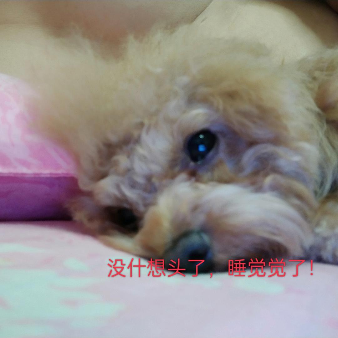 戒不掉的烟瘾