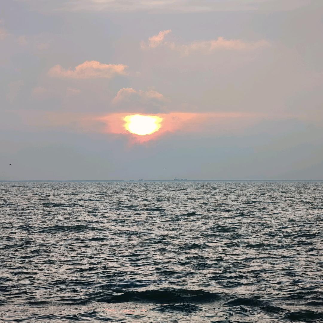 奇政律所～～任