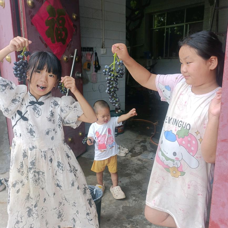 💞悦悦乐💞