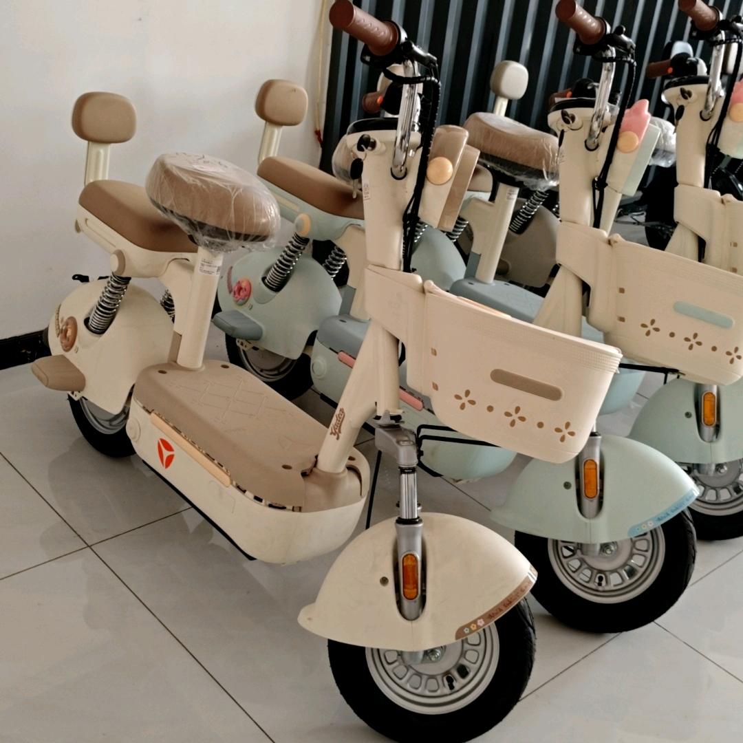 辛市镇东四村雅迪立马电动车