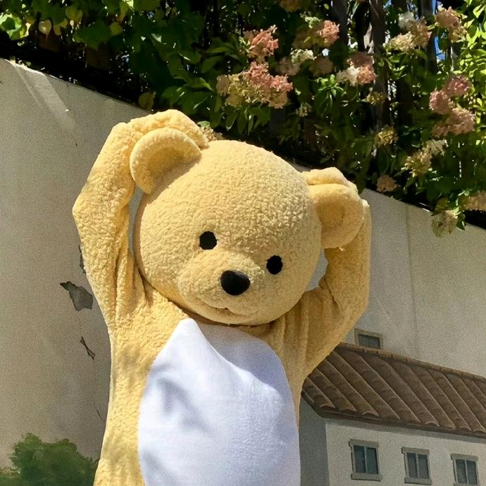 奇诺QuQ（人参果汁）