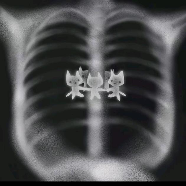 莫看我