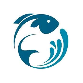 鱼水组合