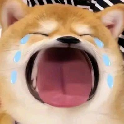 我很没礼貌
