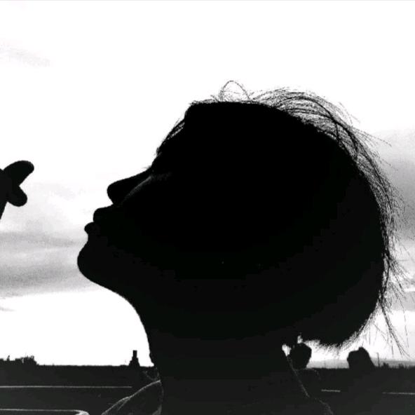 📷T i . a n