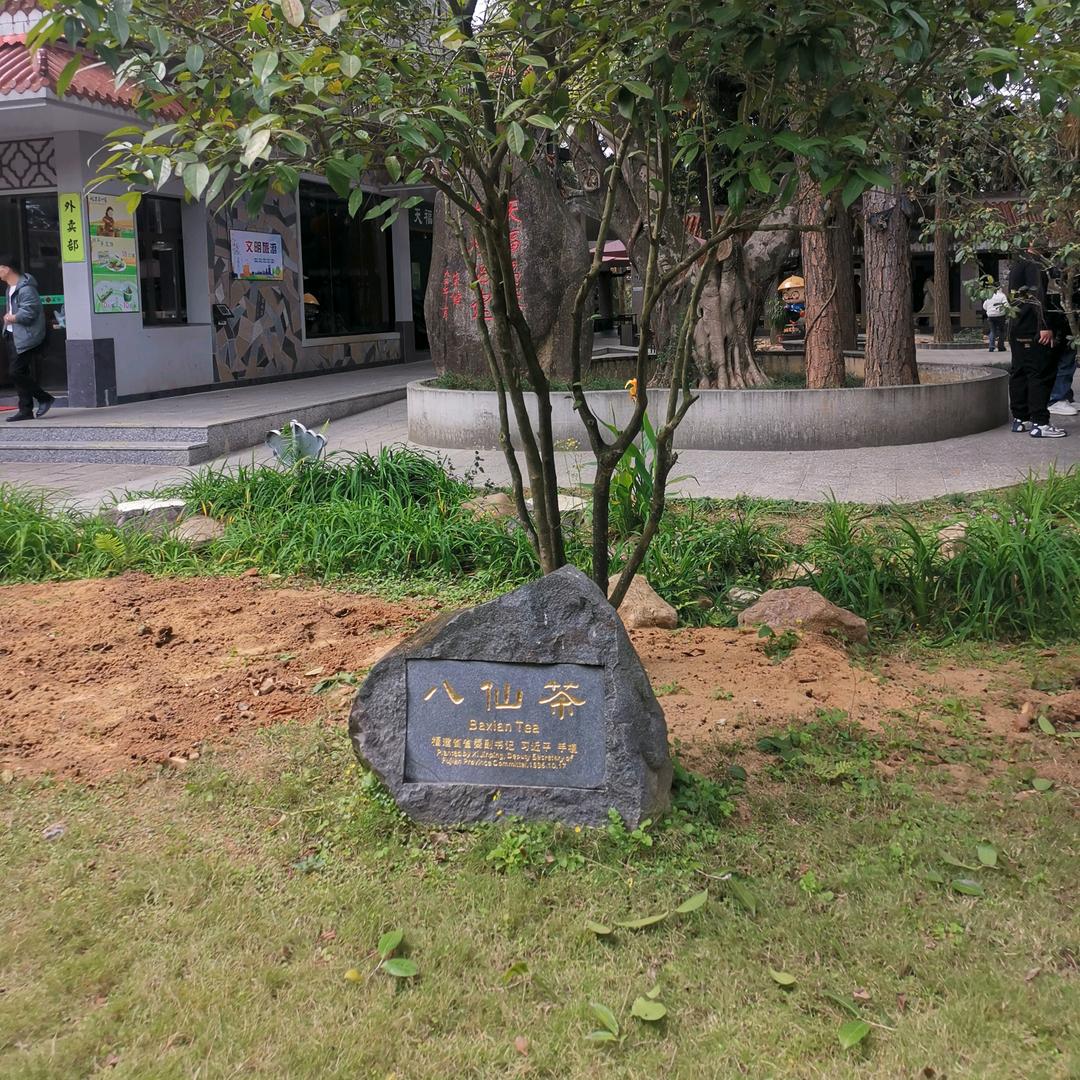 东方旭