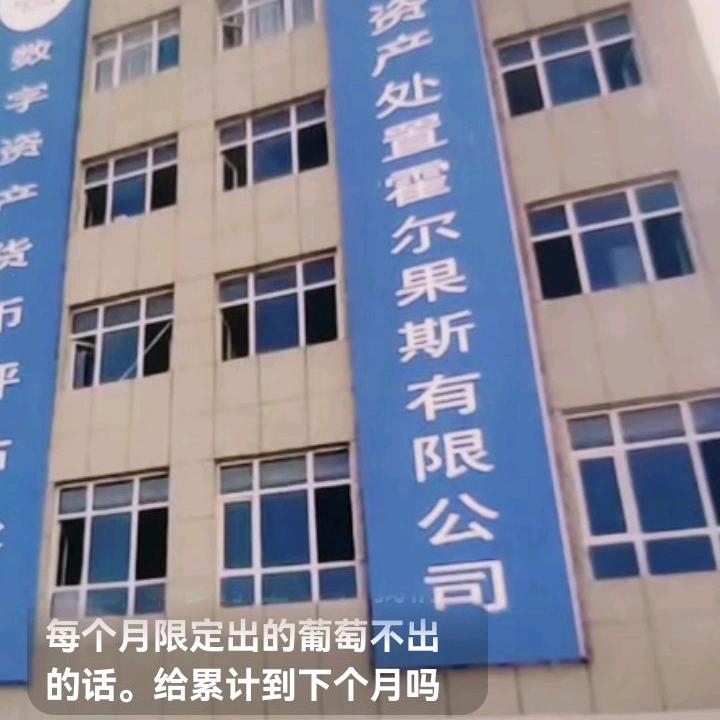 山东大使–齐术清